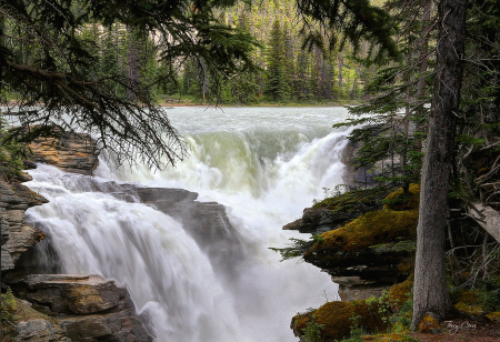 Athabasca Falls