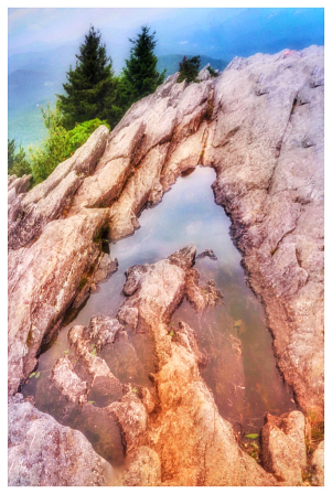 A-top of Grandfather Mountain, NC