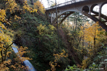 Shepperd Dell Falls