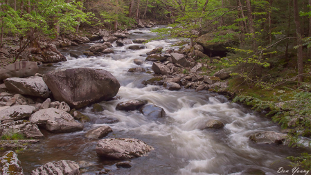 Greenbriar Stream, Great Smoky Mountains