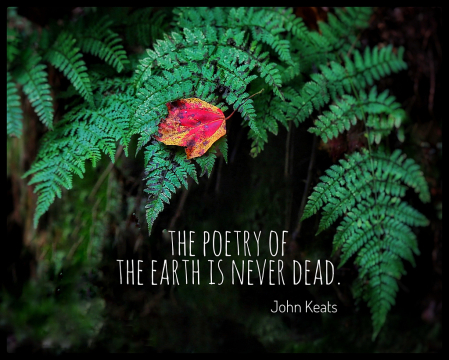 The Poetry of the Earth