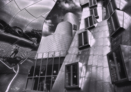 Lost in Frank Gehry's world