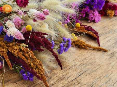 Dried Flowers