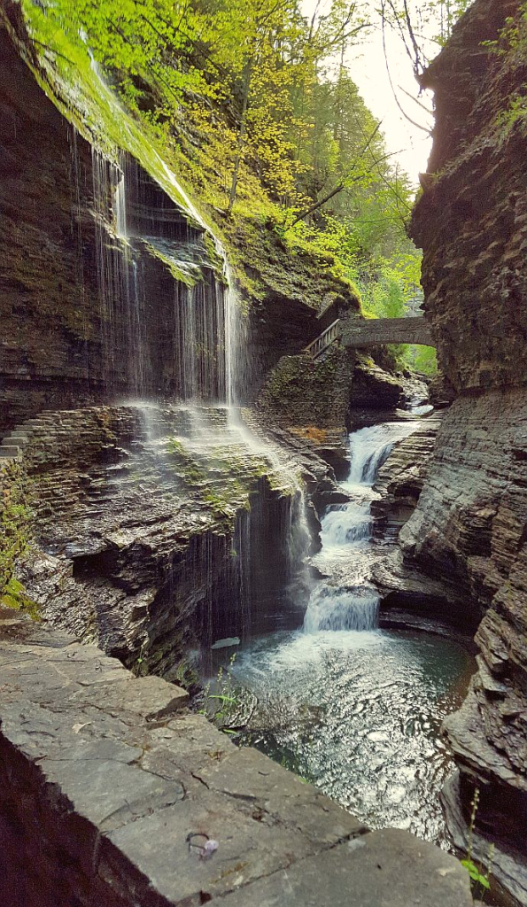 Watkins Glen