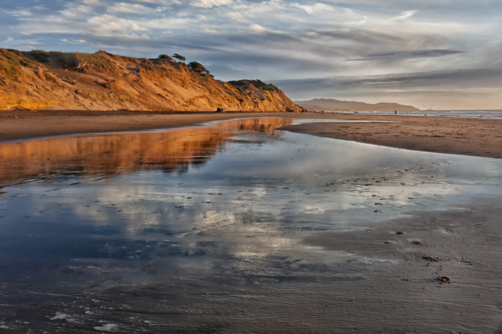 Golden Winter Beach