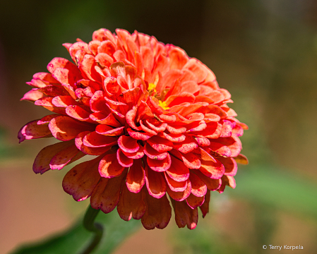 State Botanical Garden of Georgia