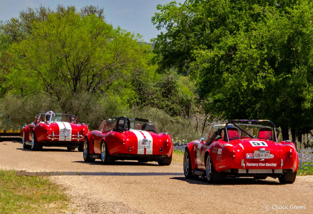 Cobras On Patrol