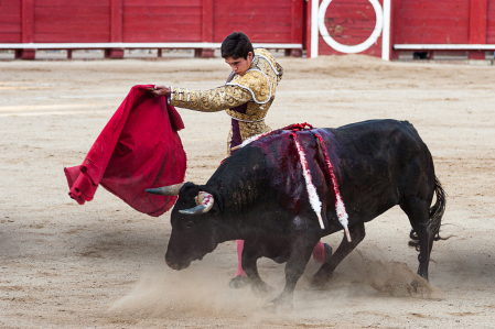 Matador Tarragona 2