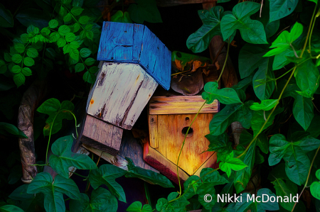 Topsy-turvy Birdhouses