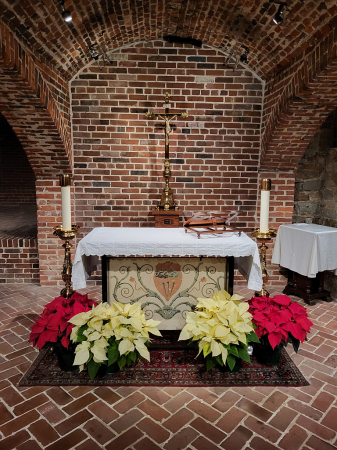 The Baltimore Basilica