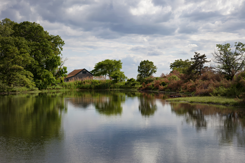 On Multi-Toned Pond