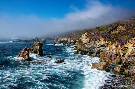 Big Sur Vista