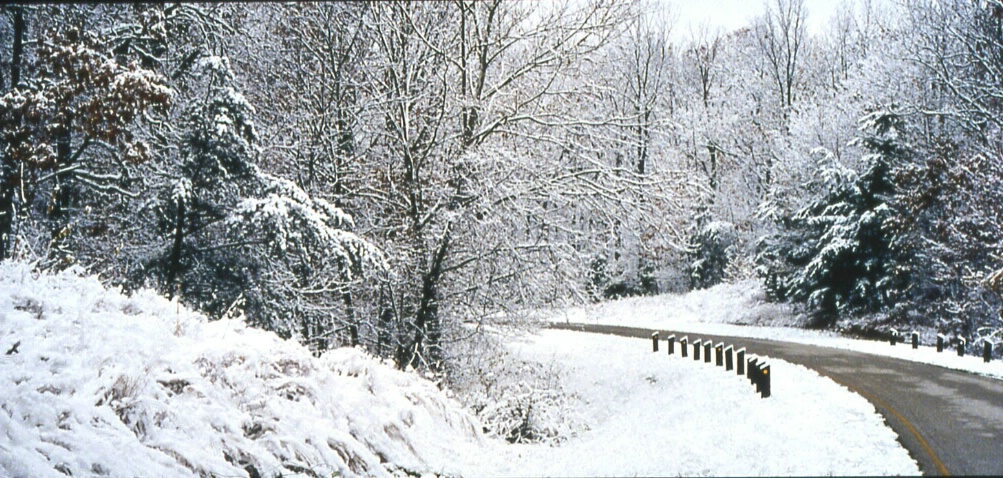 Snow On The Mountain