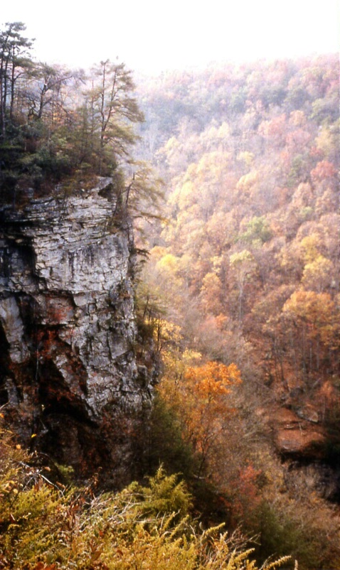 Serenity at Cloudland Canyon