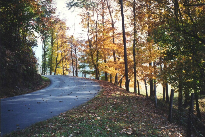 The Road Home