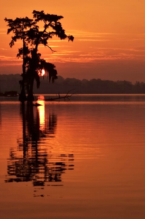 Louisiana Sunrise