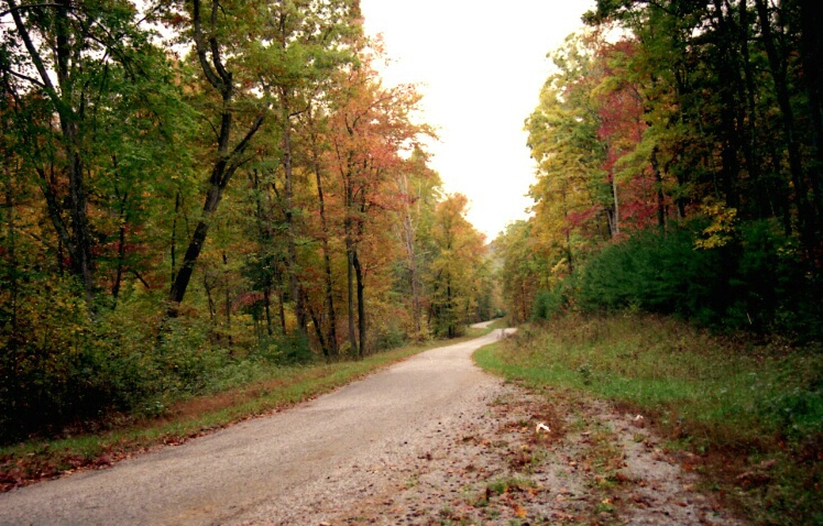 Skillet Gap Road