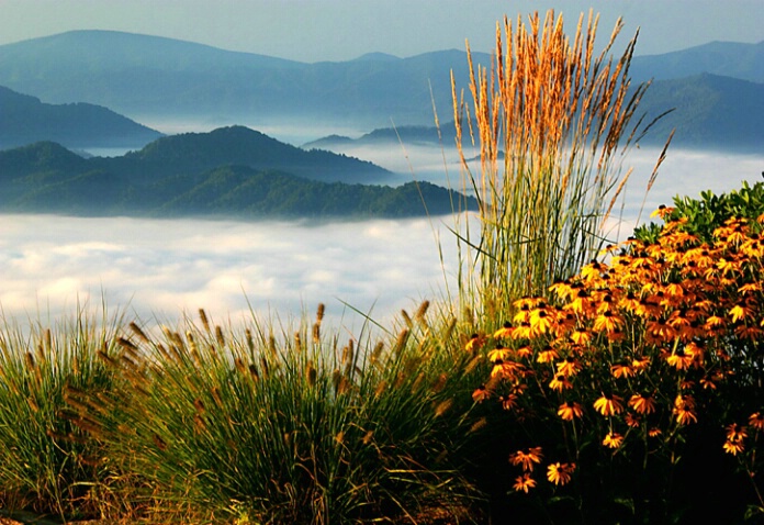 Early morn from Slickrock Mnt, NC