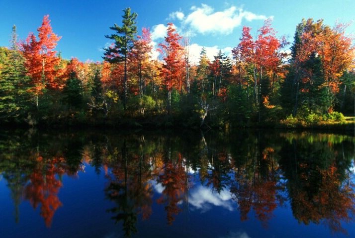 First light, Hatchery Lk, NH