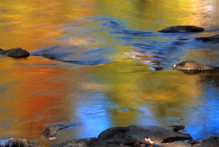 Beauty in water