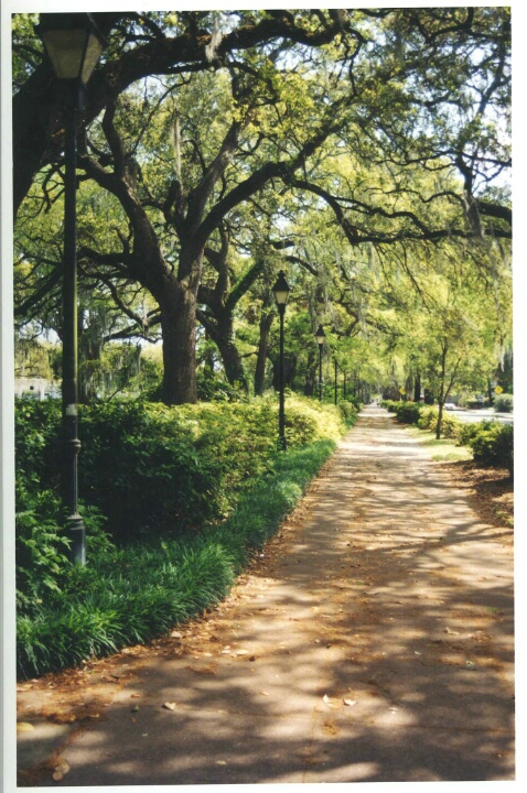 Savannah Path