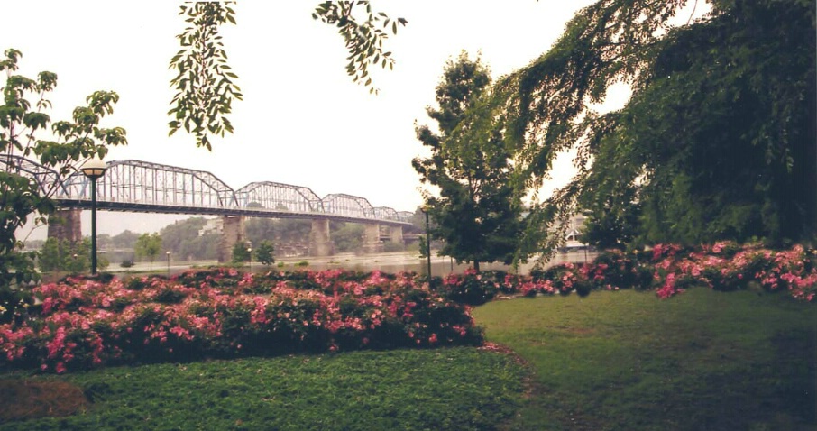 Walnut Street Bridge Spring