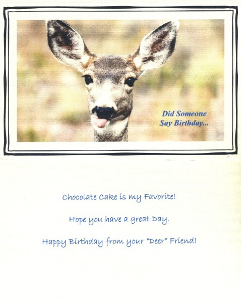 Mule Deer Birthday