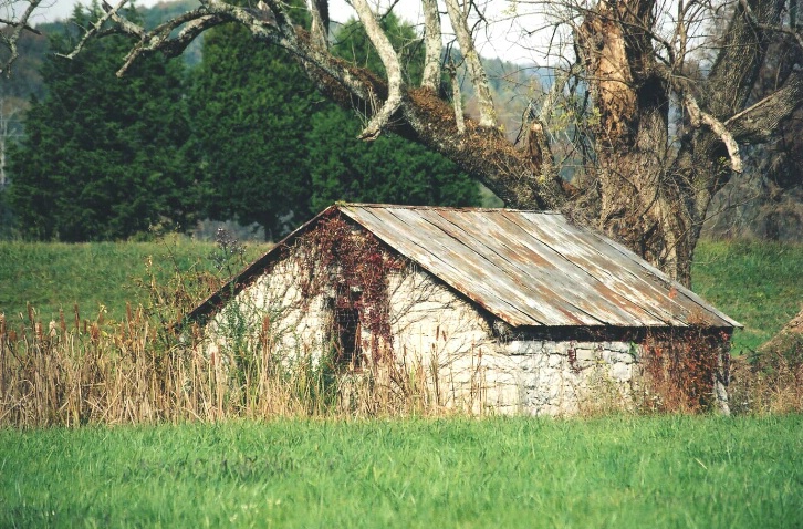 Old Shed