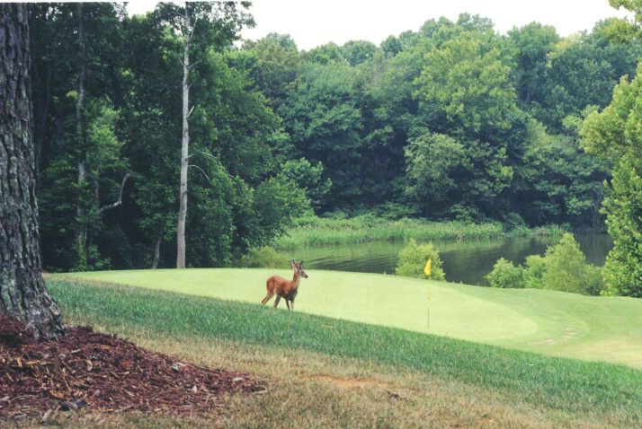 Bear Trace Golf Course Hole 3