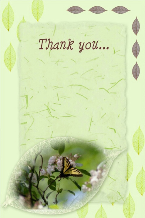 Thank You Card