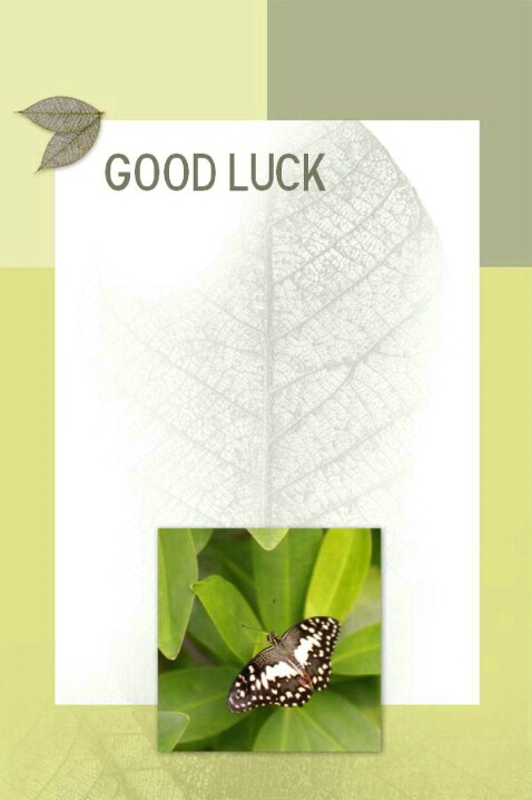 Good Luck