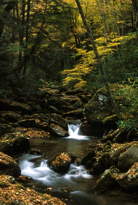 Fall in the Blue Ridge