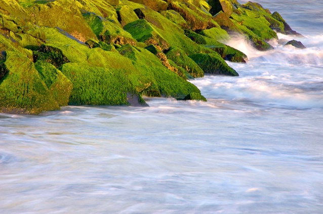 Sea and Rocks