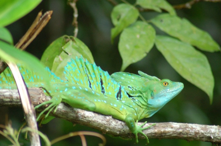 Costa Rica