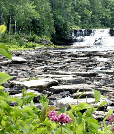 Tahquamenon Falls #1