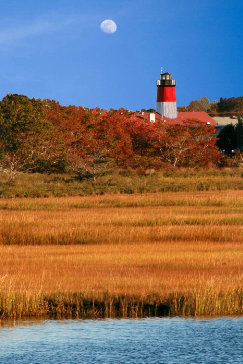 Lighthouse over marsh, Cape Cod