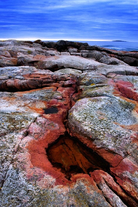 Acadia Rock