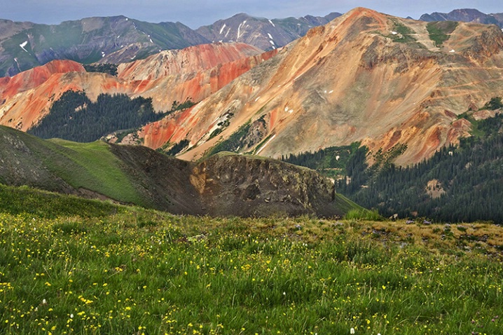 colorado__red_mnts__flowers