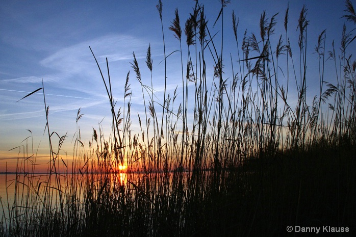 Thru the marsh