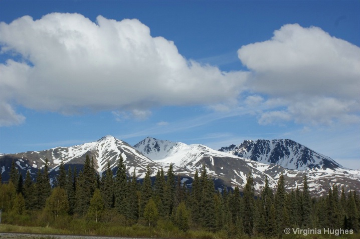 Arctic Hwy View 2