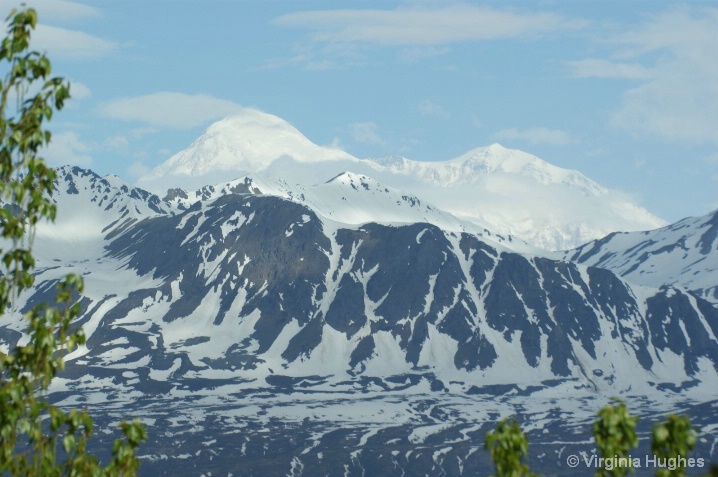 Mt. McKinley South View