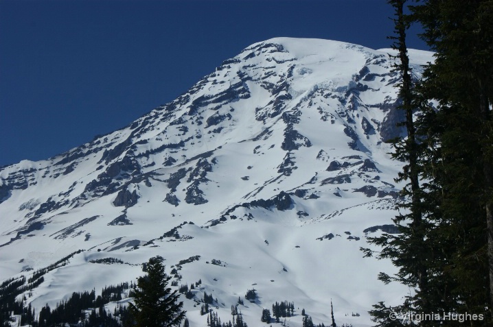 Mount Rainier 