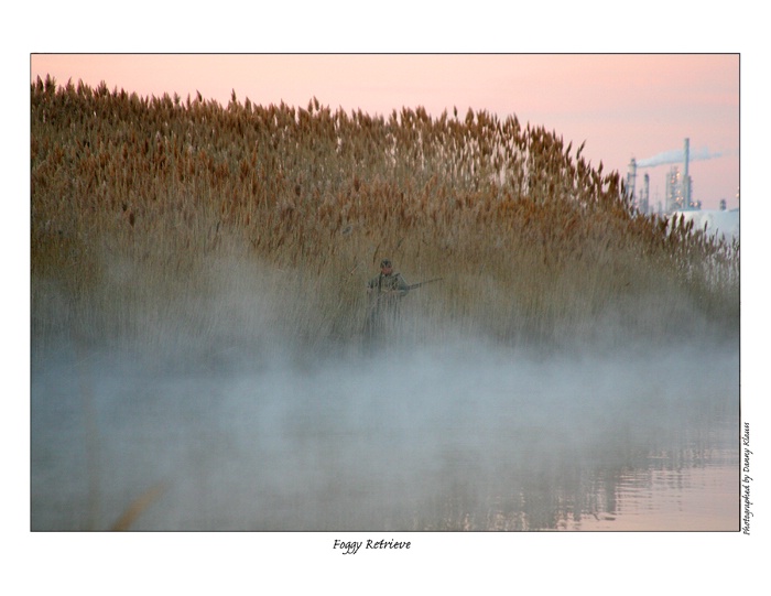 foggy retrievepsd