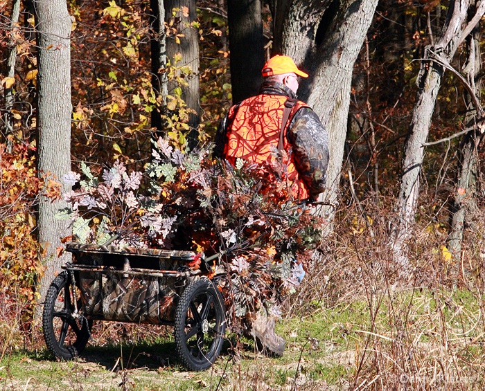 Duck-in-blind by Dan Kline #3