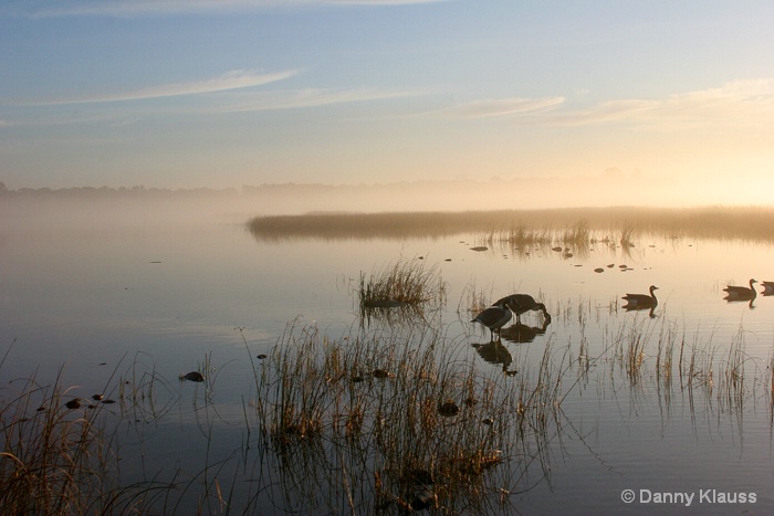 Foggy morning hunt