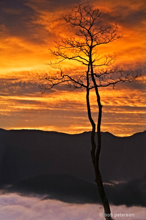 Mountain sentry at sunrise