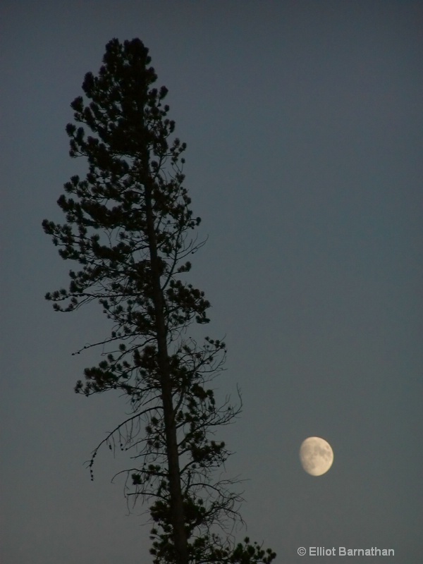 Yellowstone 1