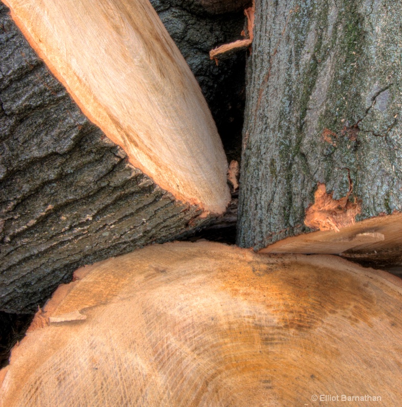 Wood Pile 1