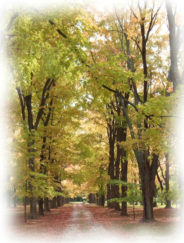 Autumn in the Lane (V)