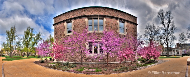 Washington University in Spring